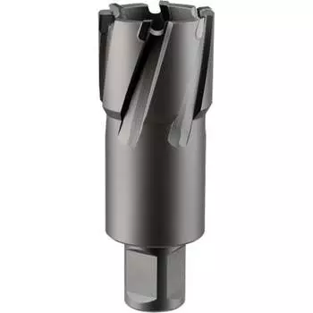 Кольцевая фреза Rotorica RT.4225013