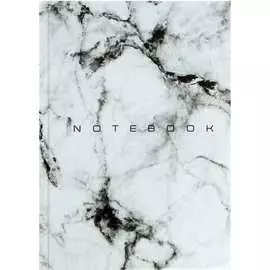 Колледж-тетрадь Calligrata