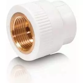 Комбинированная муфта Blue Ocean PPRF/IA(W)-32х3/4"