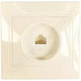 Компьютерная розетка TDM ELECTRIC Таймыр SQ1814-0021