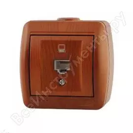 Компьютерная розетка Lezard NATA 710-0800-139