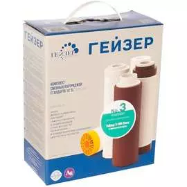 Комплект Гейзер 3 50003