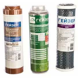 Комплект Гейзер 10 50038
