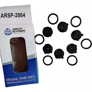 Комплект клапанов к помпе RR 1520 ACG KIT A 2864
