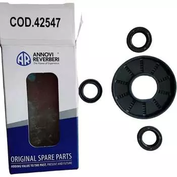 Комплект масляных уплотнителей к помпе RR 1520 ACG KIT C /42547/ 42547