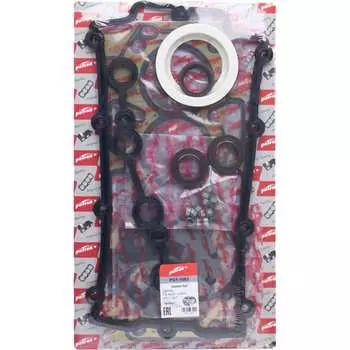 Комплект прокладок двигателя PATRON