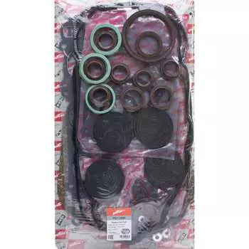 Комплект прокладок двигателя PATRON