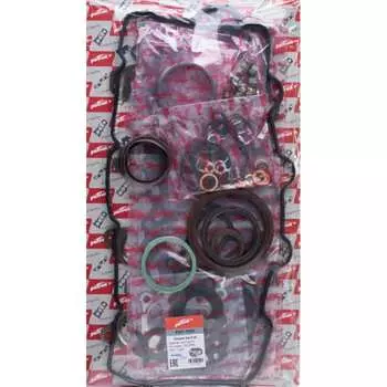 Комплект прокладок двигателя PATRON