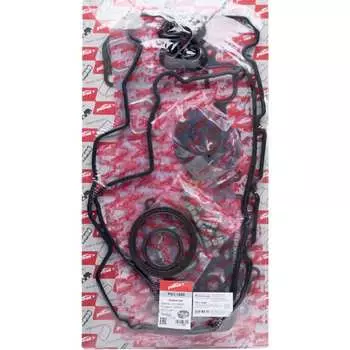 Комплект прокладок двигателя PATRON