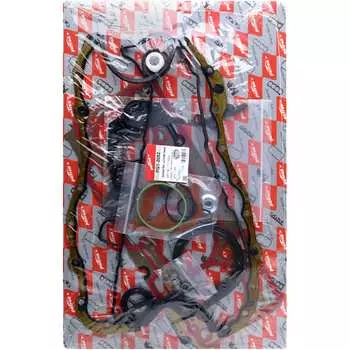 Комплект прокладок двигателя PATRON