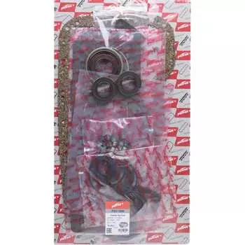 Комплект прокладок двигателя PATRON