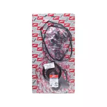 Комплект прокладок двигателя PATRON