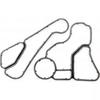 Комплект прокладок корпуса масляного фильтра BMW: 328i/ 320i/ 335i/ 525i 2005> PATRON