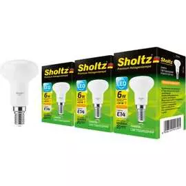 Комплект светодиодных ламп Sholtz