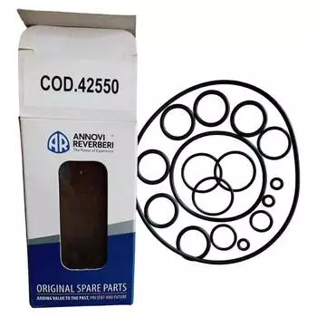 Комплект уплотнительных колец к помпе RR 1520 ACG KIT F /42550/ 42550