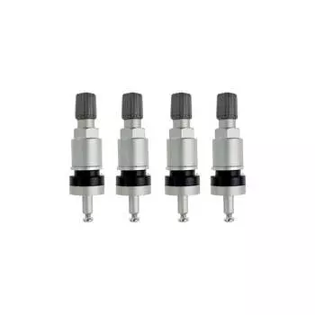 Комплект вентилей под датчик NORM TPMS-02