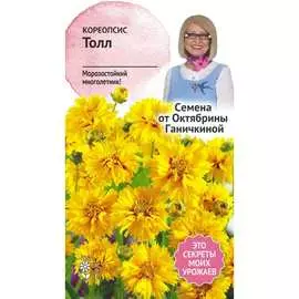 Кореопсис семена ОКТЯБРИНА ГАНИЧКИНА
