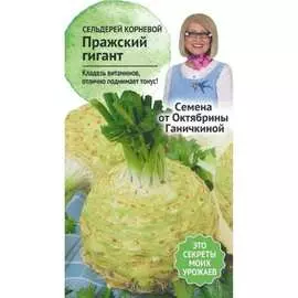 Корневой сельдерей семена ОКТЯБРИНА ГАНИЧКИНА