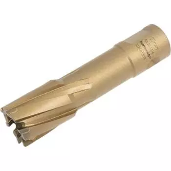 Корончатое сверло Karnasch HARD-LINE 20.1316-22