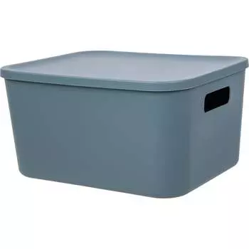 Корзина пластиковая для хранения HANDY HOME Оптима, Д265 Ш185 В100, синий Fancy-hh100-XS