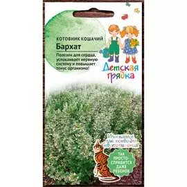 Кошачий котовник семена Детская грядка Бархат 122822