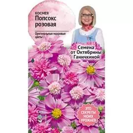 Космея семена ОКТЯБРИНА ГАНИЧКИНА