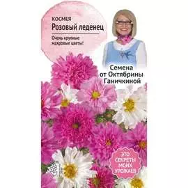 Космея семена ОКТЯБРИНА ГАНИЧКИНА