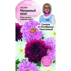 Космея семена ОКТЯБРИНА ГАНИЧКИНА Махровый клик 119250