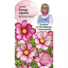 Космея семена ОКТЯБРИНА ГАНИЧКИНА