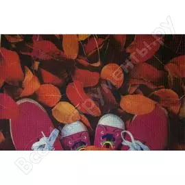 Коврик fora придверный, грязезащитный, фотопринт листья, 40x60 см for-door06