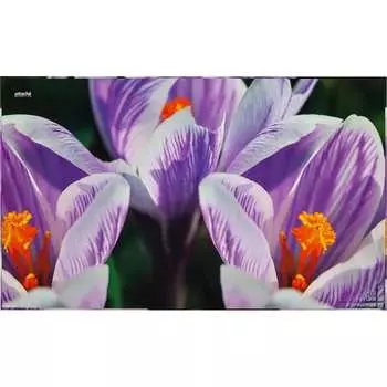 Коврик на стол Attache Selection