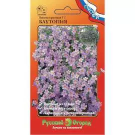 Красивая бакопа семена РУССКИЙ ОГОРОД