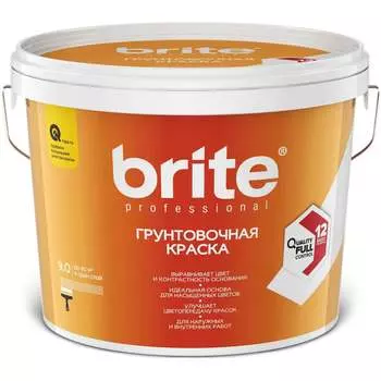 Краска BRITE PROFESSIONAL О05284