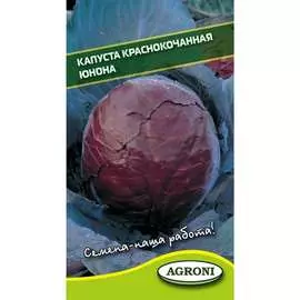 Краснокочанная капуста капуста Агрони ЮНОНА 4278