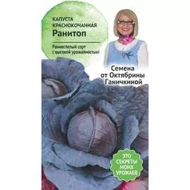 Краснокочанная капуста капуста ОКТЯБРИНА ГАНИЧКИНА