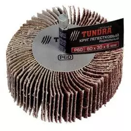 Радиальный лепестковый круг ТУНДРА 1875469