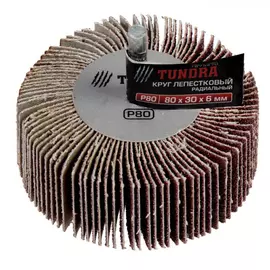 Радиальный лепестковый круг ТУНДРА 1875470