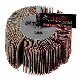 Радиальный лепестковый круг ТУНДРА 1875473