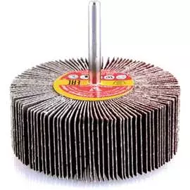 Круг лепестковый с оправкой kk19xw (60х30х6 мм; 25h; р60) баз 960000022891