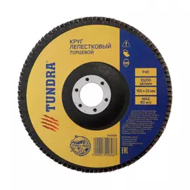Лепестковый торцевой круг TUNDRA