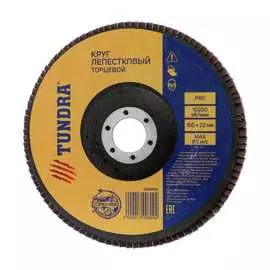 Лепестковый круг торцевой TUNDRA