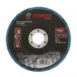 Циркониевый торцевой лепестковый круг по нержавеющей стали TUNDRA