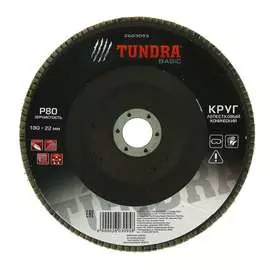 Конический торцевой лепестковый круг TUNDRA