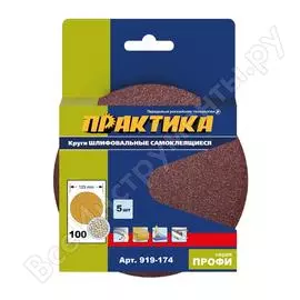 Шлифовальные круги ПРАКТИКА 919-174