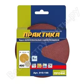 Шлифовальные круги ПРАКТИКА 919-198