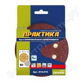 Шлифовальные круги ПРАКТИКА 919-075