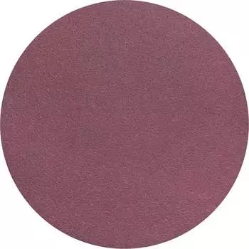 Круг шлифовальный Sia Abrasives siaspeed 1950 ss50-125-0-100