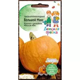 Крупноплодная тыква тыквы Детская грядка Большой Макс 122813