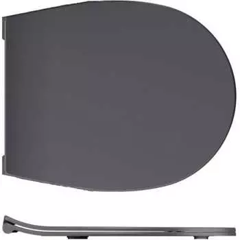 Крышка-сиденье для унитаза ALLEN BRAU Reality 4.32007.AN 00280169