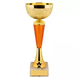 Кубок ООО Комус